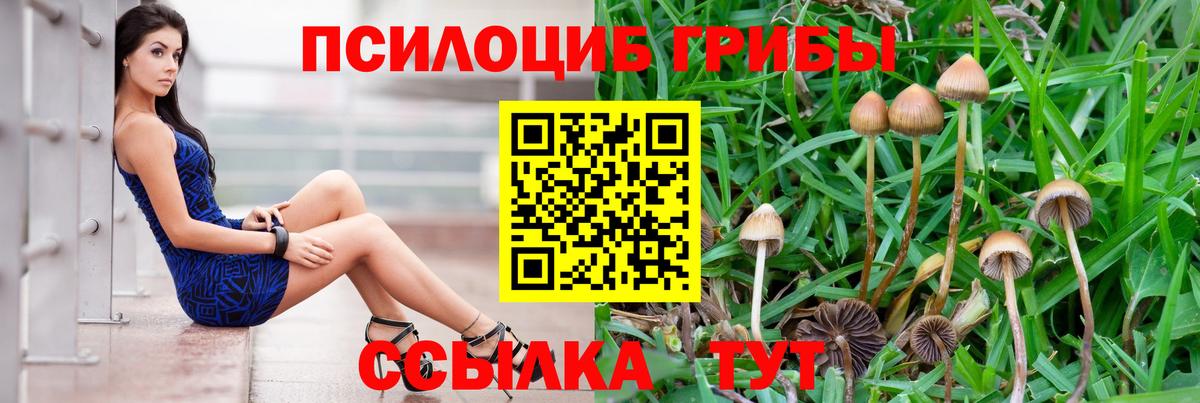 Галлюциногенные грибы MAGIC MUSHROOMS  Псилоцибиновые грибы мухоморы  Вход с VPN  как найти   Шахты 