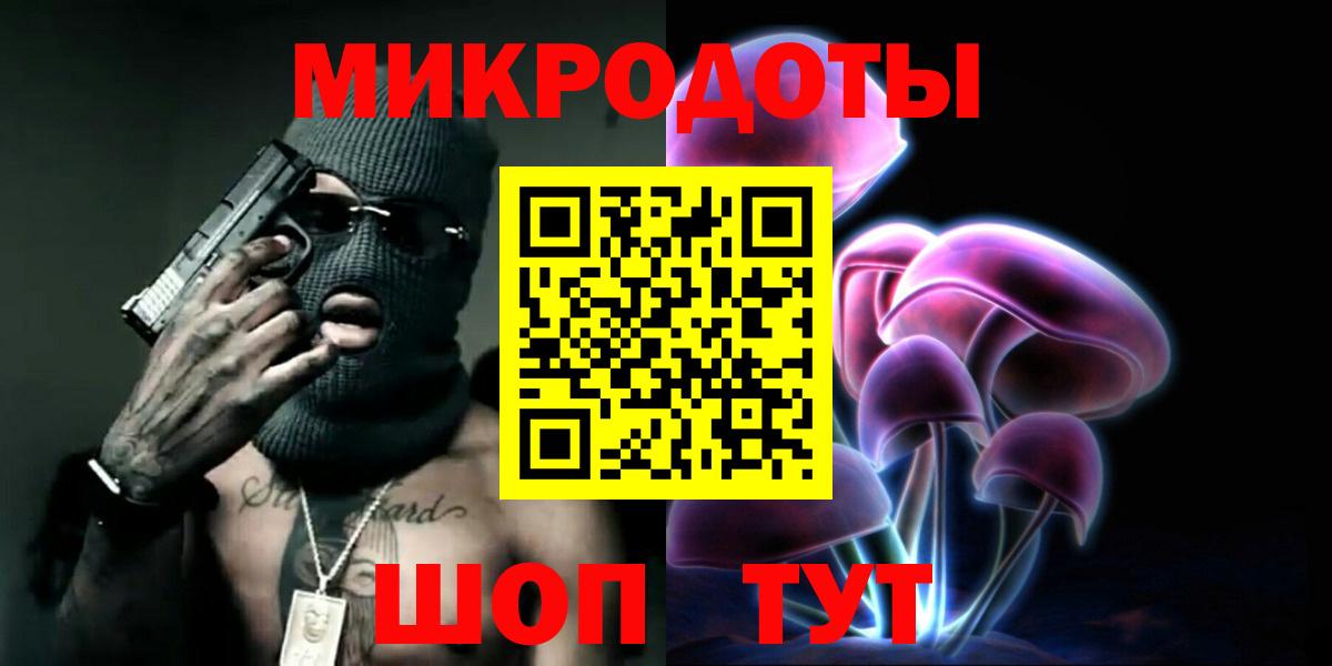 Псилоцибиновые грибы Psilocybe Шахты