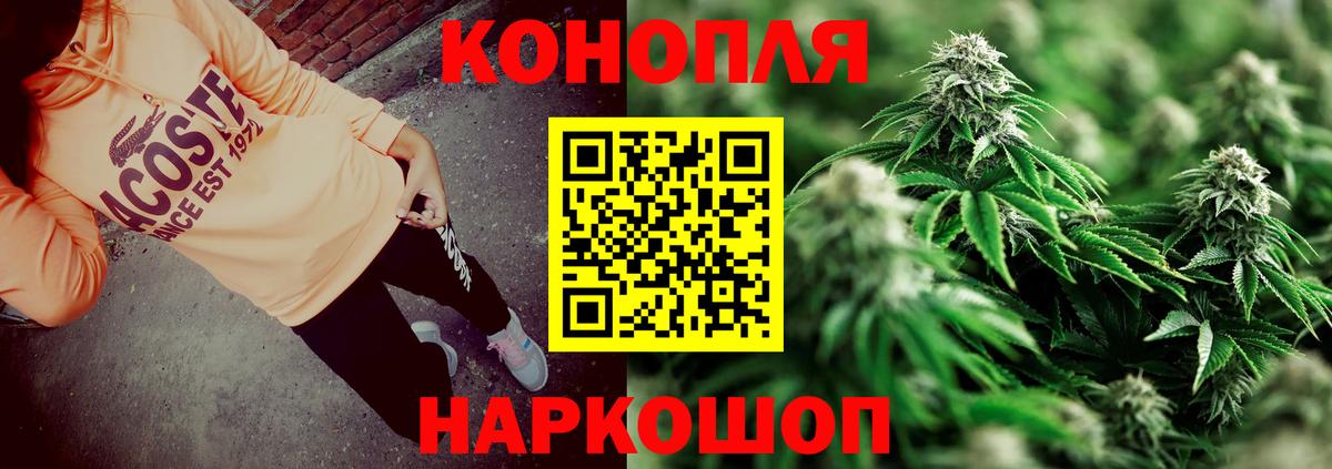 Шахты  Марихуана ГИДРОПОН  Вход с VPN  Конопля тримм  Канабис индика 